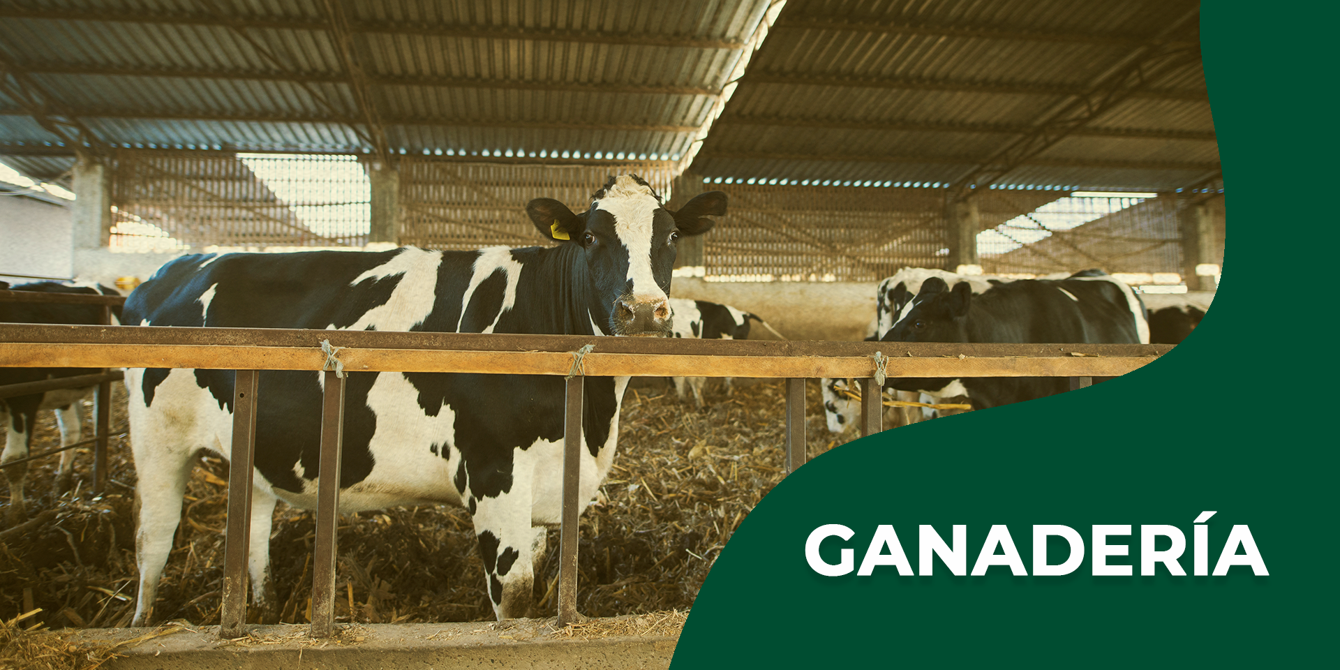 Ganadería